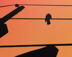 MaxCustom Mousepad|Dusk Dynasty 2XL Gaming Mousepad