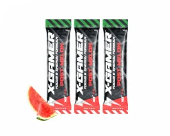 X-Gamer Drinks & Energy|10g X-Shotz Post Melon (3 pack)