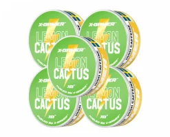 X-Gamer Drinks & Energy|Pouch Energy - Lemon & Cactus (5-Pack)